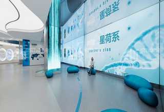 浙江2022成人高考文凭