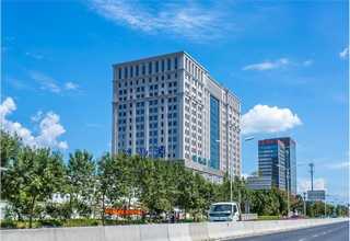 奉贤区办公楼绿植租赁产品介绍